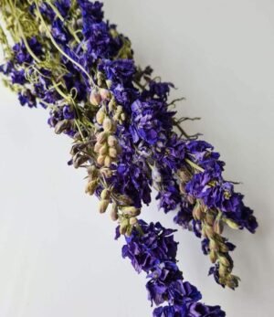 Trockenblumen "Delphinium Blau"