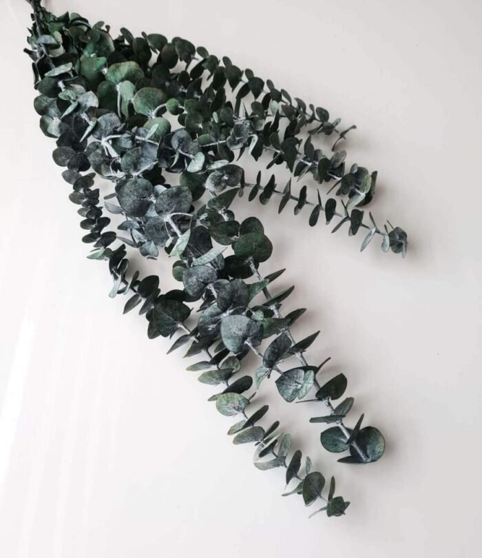 Trockenblumen "Eucalyptus Baby Blue"