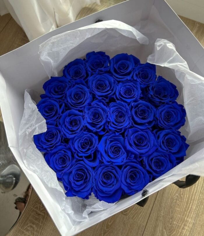 Infinity Rosenbox L_Schwarz_Blau_3