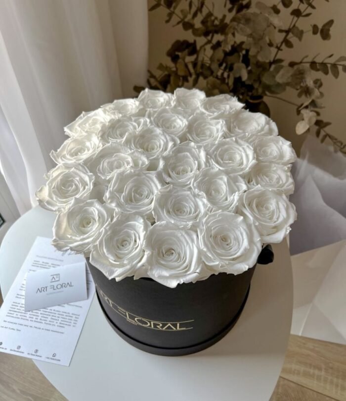 Infinity Rosenbox L_Schwarz_Weiss_2