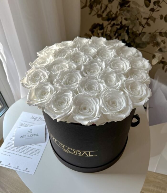 Infinity Rosenbox L_Schwarz_Weiss_3