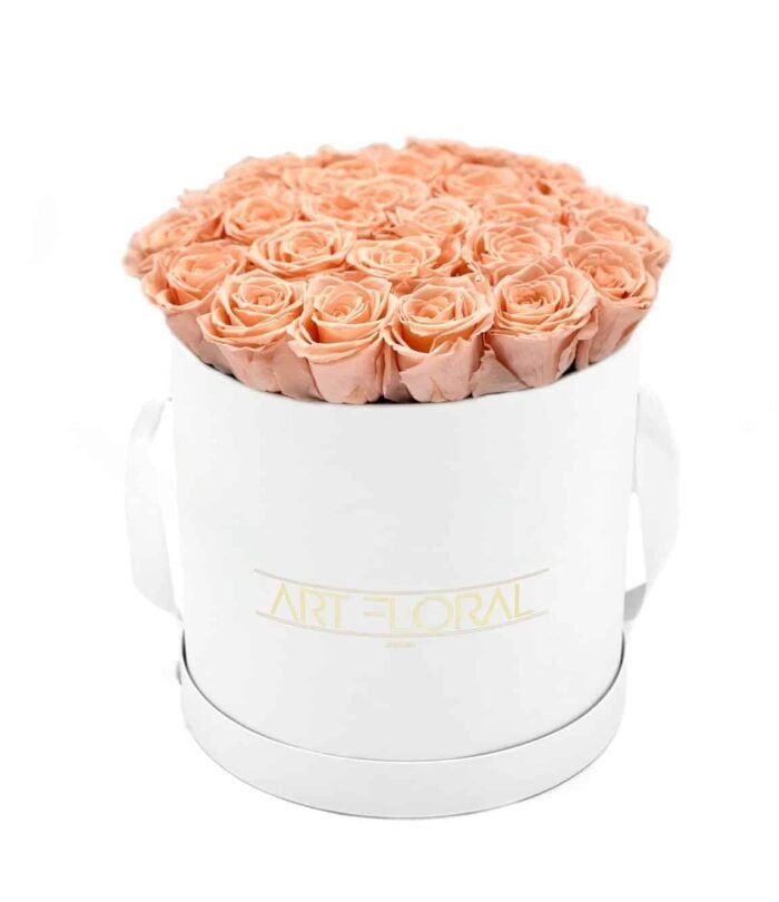 Infinity Rosenbox L_Weiss_Pfirsich_1