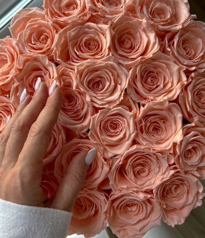 Infinity Rosenbox L_Weiss_Pfirsich_2