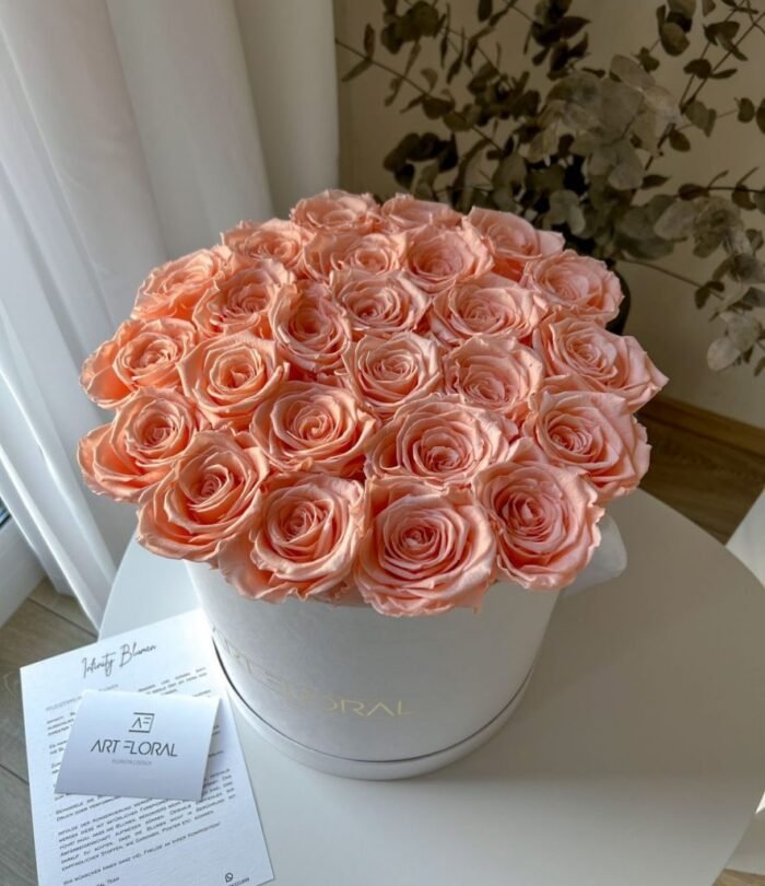 Infinity Rosenbox L_Weiss_Pfirsich_3