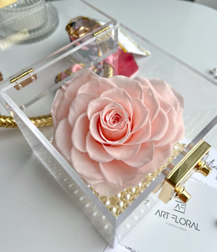 Ewige_Rose_im_Acryl_Cube_Rosa_2