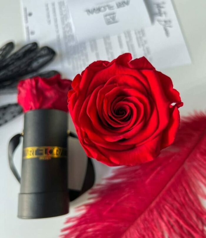 Infinity_Rosenbox_Mini_Schwarz_Rot_3