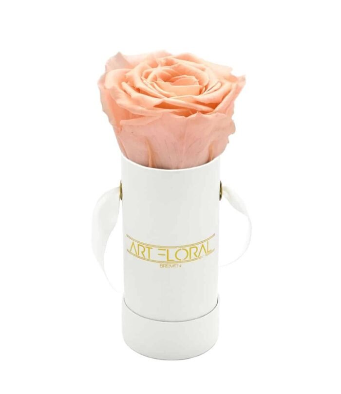 Infinity_Rosenbox_Mini_Weiss_Pfirsich_1