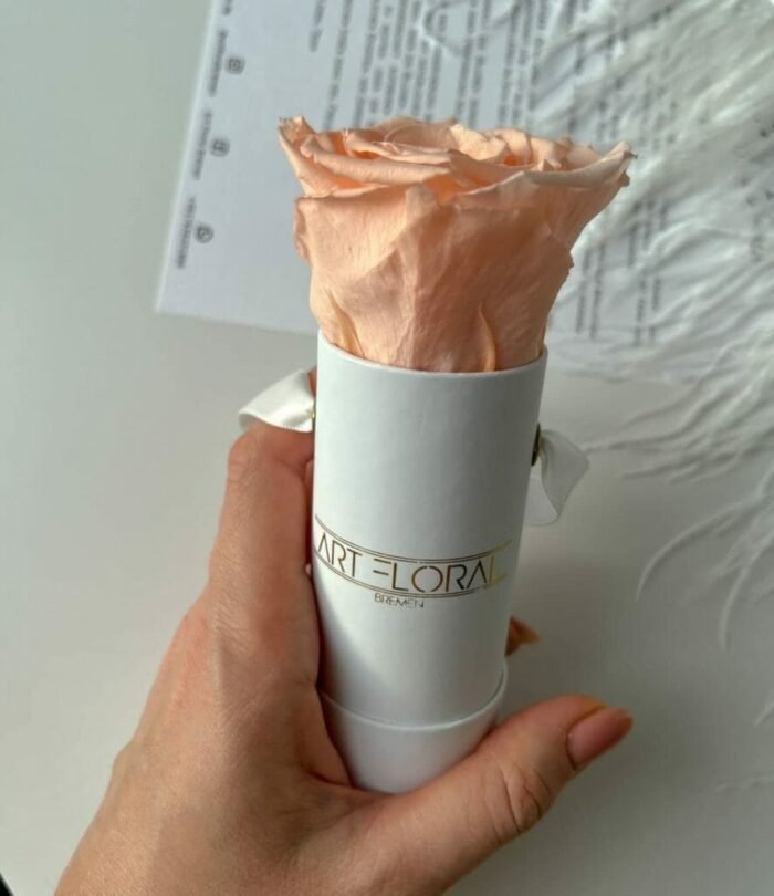 Infinity_Rosenbox_Mini_Weiss_Pfirsich_2