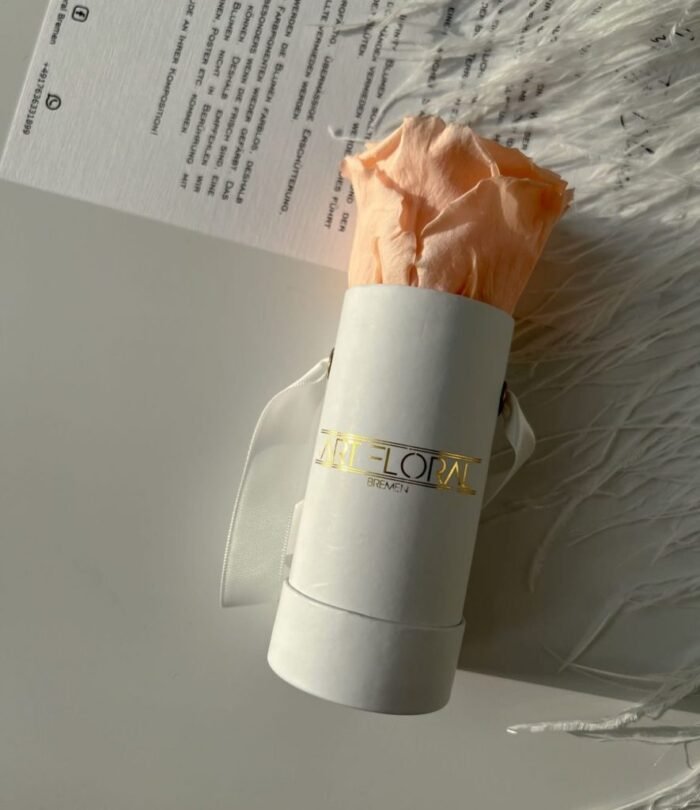 Infinity_Rosenbox_Mini_Weiss_Pfirsich_3