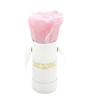 Infinity_Rosenbox_Mini_Weiss_Rosa_1