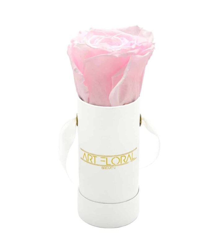 Infinity_Rosenbox_Mini_Weiss_Rosa_1