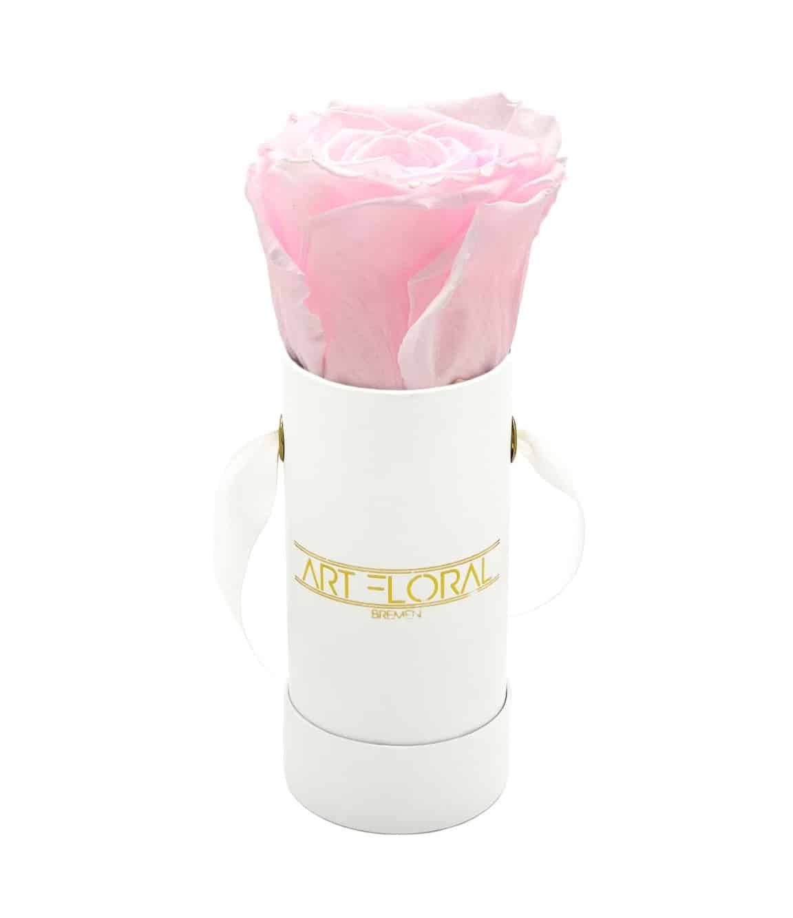 Infinity_Rosenbox_Mini_Weiss_Rosa_1