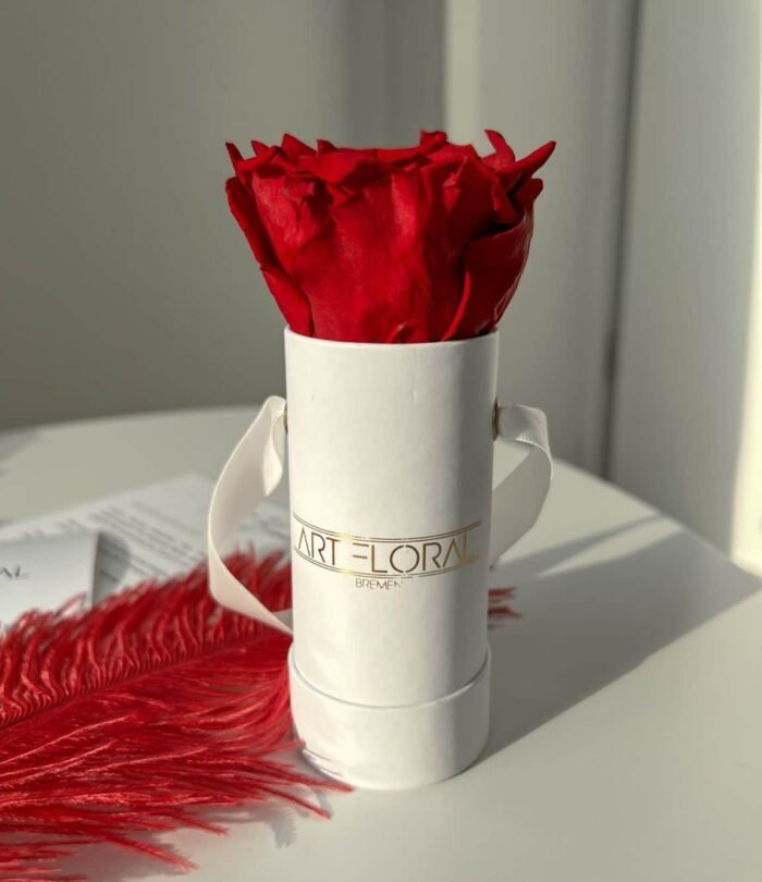 Infinity_Rosenbox_Mini_Weiss_Weinrot_2