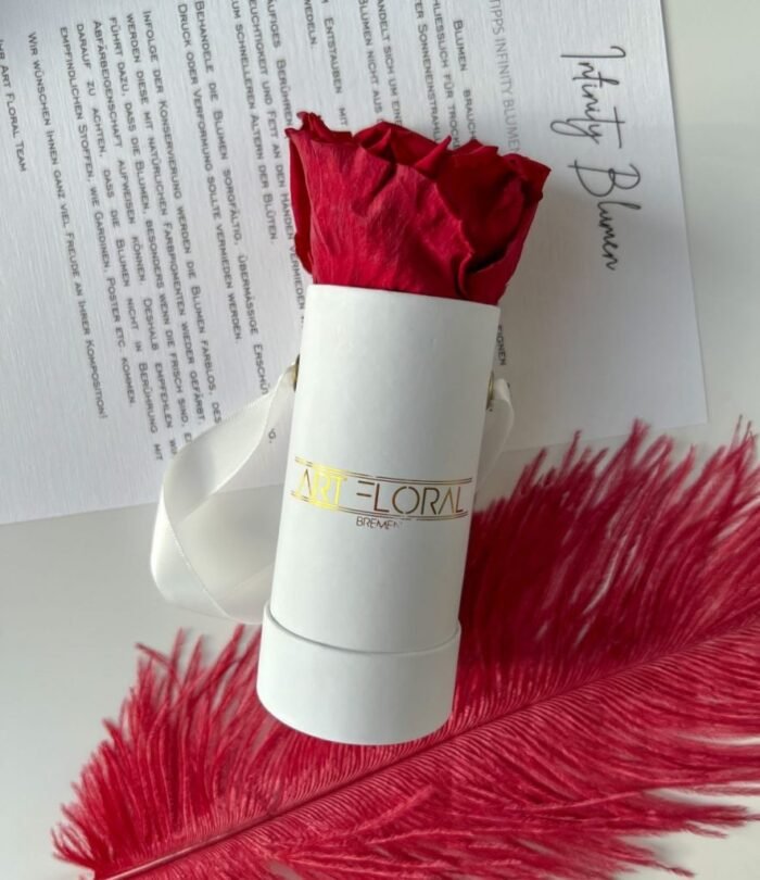 Infinity_Rosenbox_Mini_Weiss_Weinrot_3