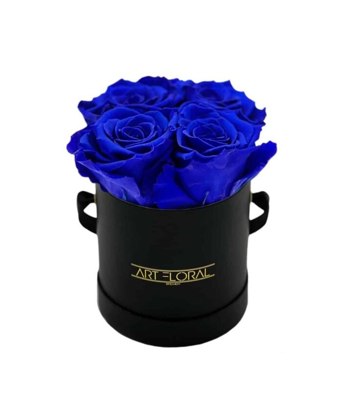 Infinity_Rosenbox_XS_Schwarz_Blau_1