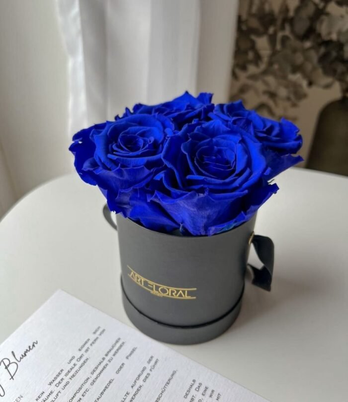 Infinity_Rosenbox_XS_Schwarz_Blau_2