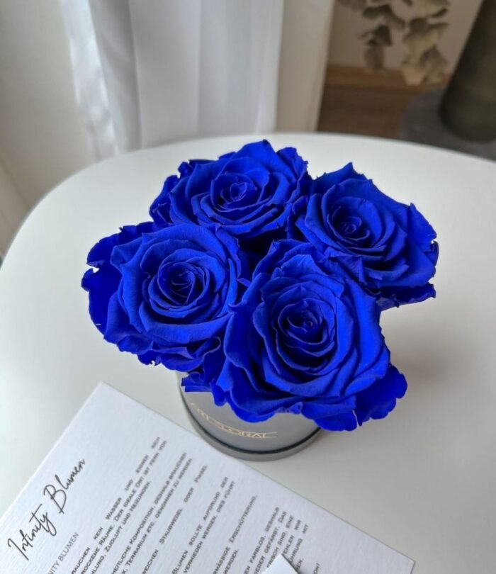 Infinity_Rosenbox_XS_Schwarz_Blau_3