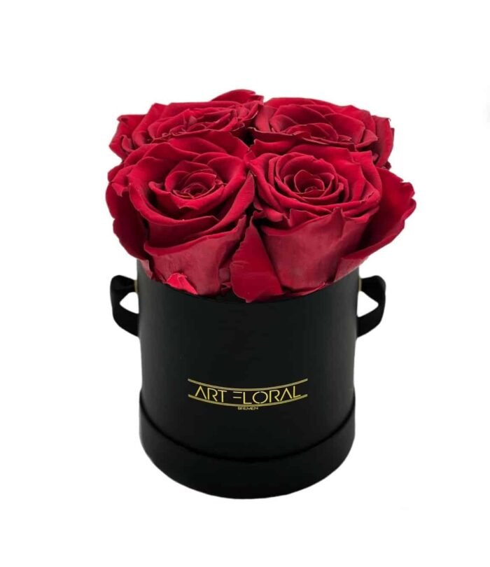 Infinity_Rosenbox_XS_Schwarz_Weinrot_1