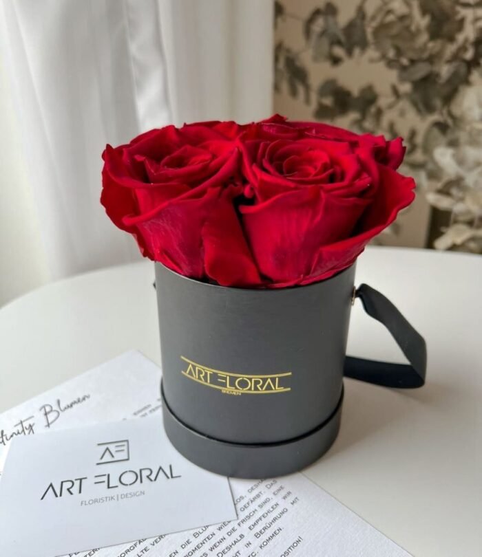 Infinity_Rosenbox_XS_Schwarz_Weinrot_2