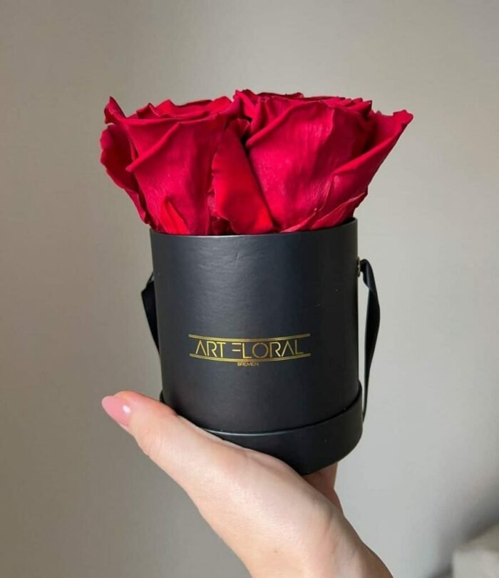 Infinity_Rosenbox_XS_Schwarz_Weinrot_4