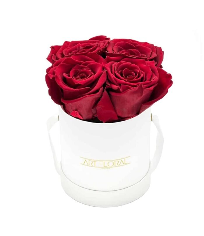 Infinity Rosenbox XS_Weiss_Weinrot_1