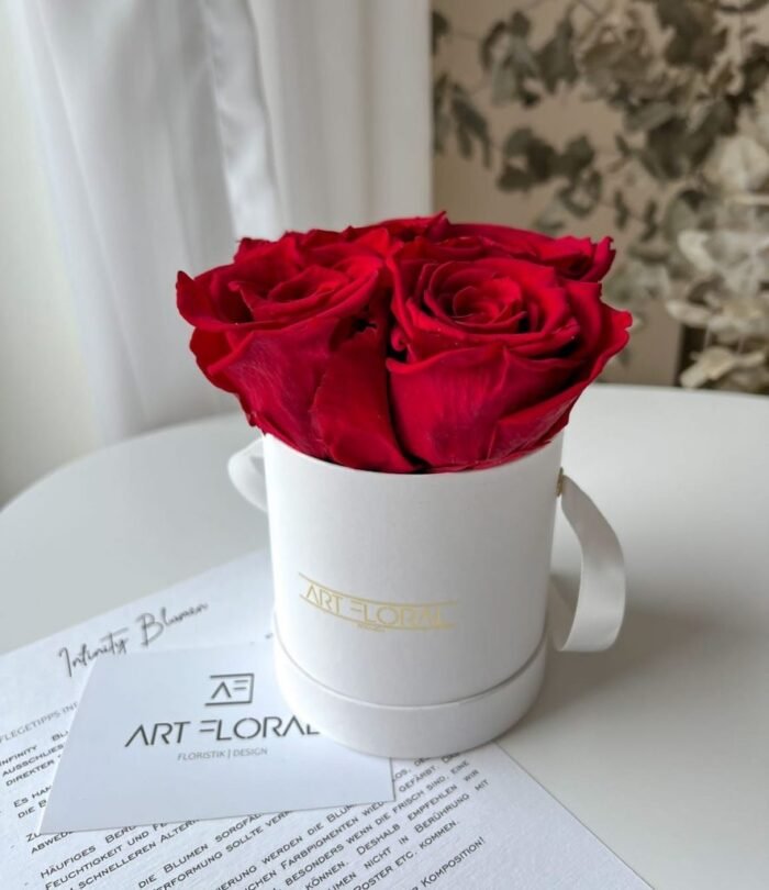 Infinity_Rosenbox_XS_Weiss_Weinrot_2