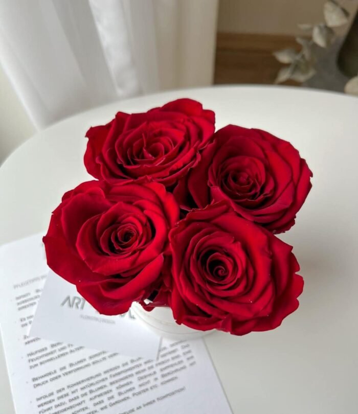 Infinity_Rosenbox_XS_Weiss_Weinrot_3