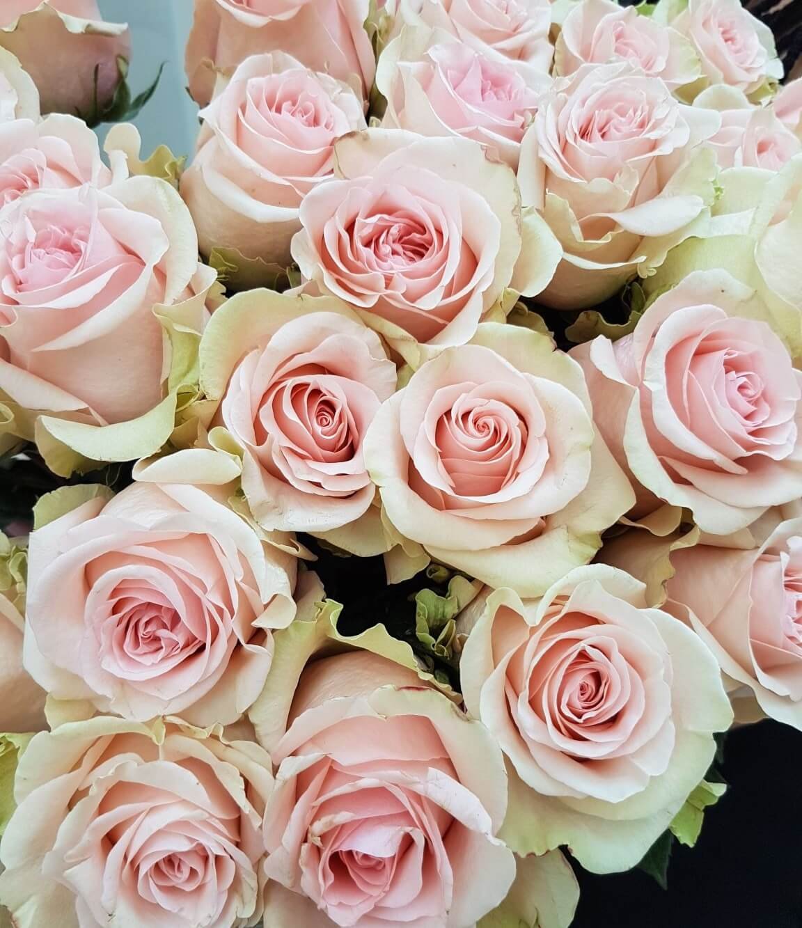 Blumenstrauß “Rosa Perlen”