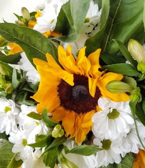Blumenstrauß Sommerwiese