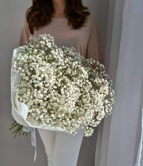 Blumenstrauß_Gypsophila