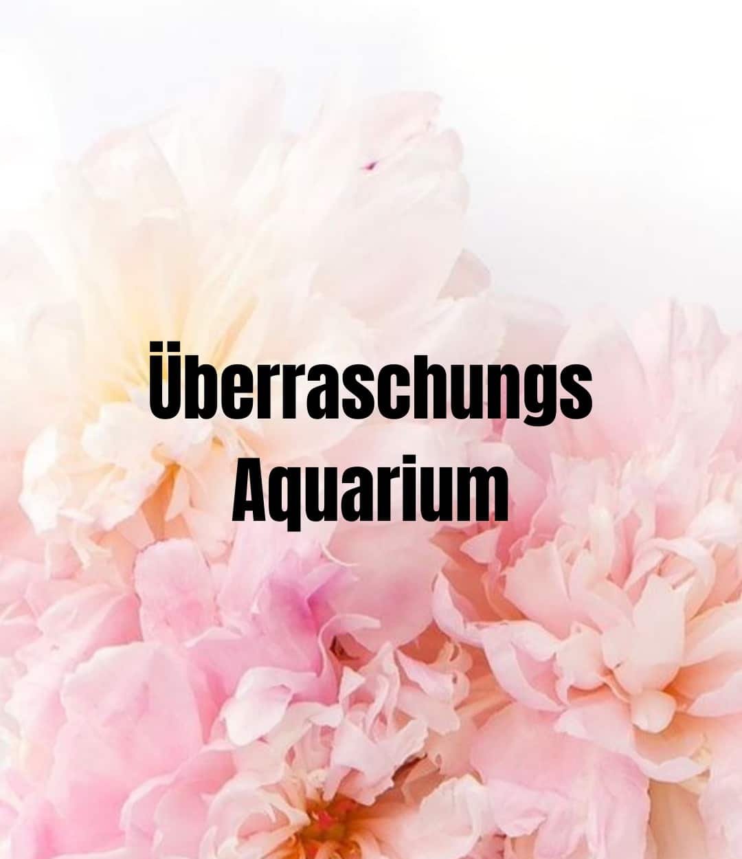Blumen Aquarium Überraschung