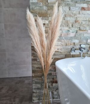 Pampas_beige_S_4