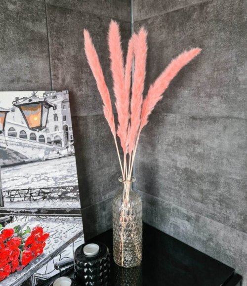 Pampasgras rosa Tischgröße