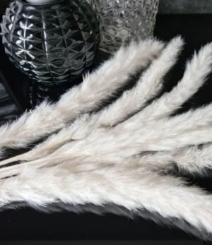 Pampas_mini_weiss