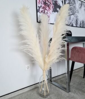 Pampas_weiß_L_4