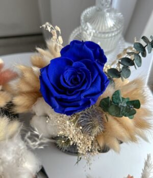 Mix_Blumenbox_Céline_1.3