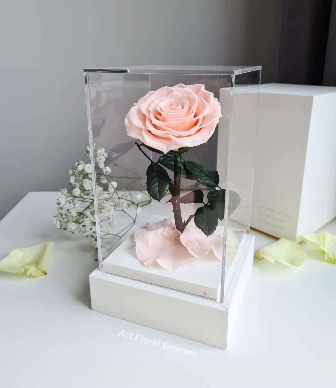 Acrylic Tower Rosa Rose