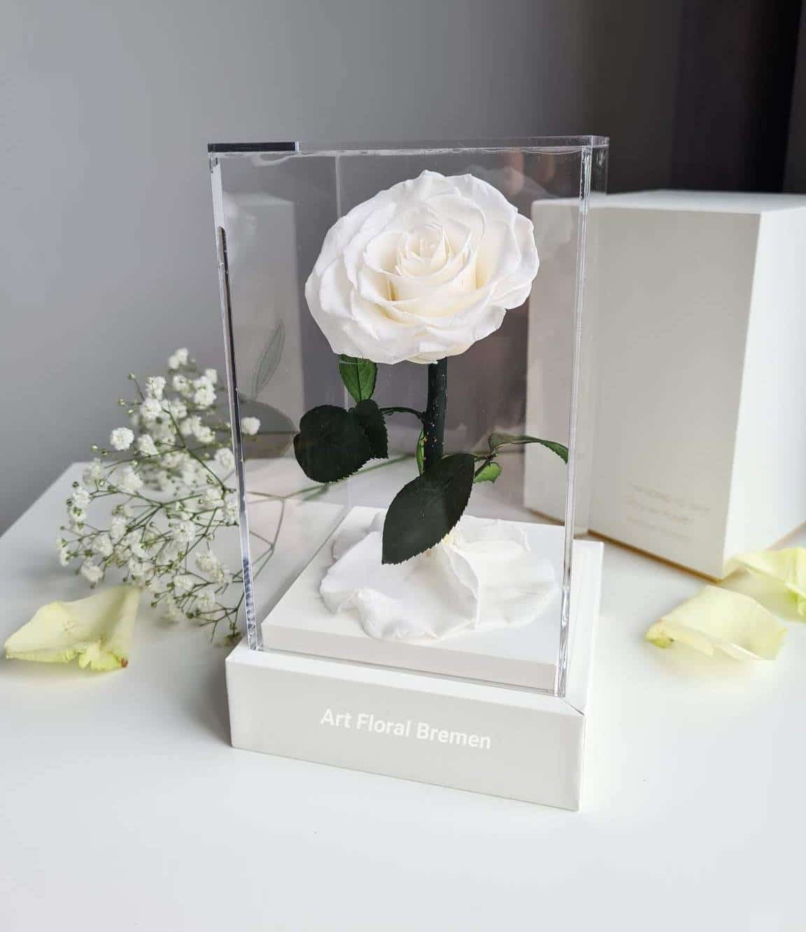 Acrylic Tower Ewige Weiße Rose