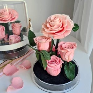 Acrylic Garden Rosa