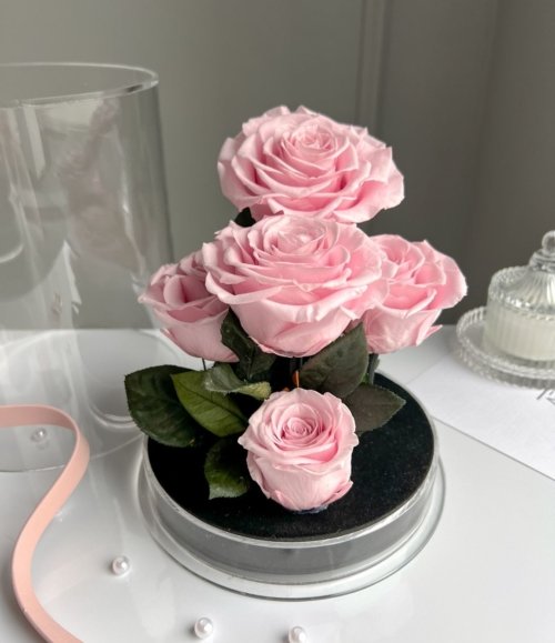 Infinity_Rosen_im_Acryl_Garten_rosa_2
