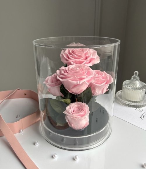 Infinity_Rosen_im_Acryl_Garten_rosa_4