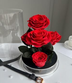 Infinity_Rosen_im_Acryl_Garten_rot_2