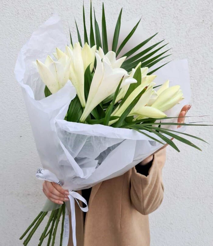 Eleganz_2