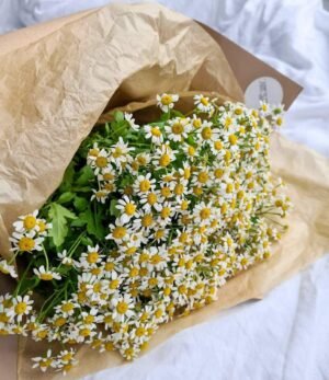 Blumenstrauß_Waldwiese_4
