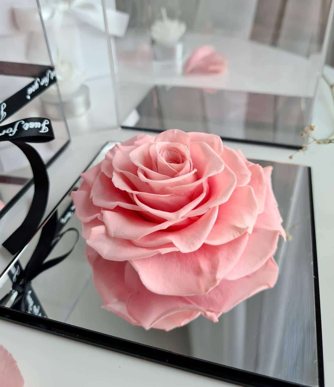 Ewige Rose in Acryl-Schatulle Rosa