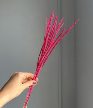 Trockenblumen Phleum Rot