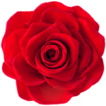 rot