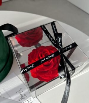 Infinity_Rosenbox_Acrylic_Schatulle_Set_Grün_2.4