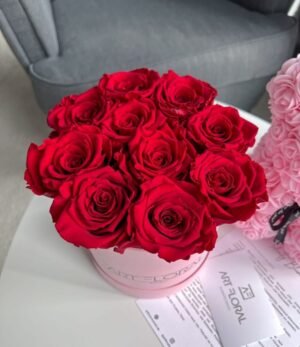 Infinity_Rosenbox_Rosenbär_Set_Rosa_6.3