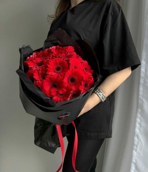 Rote Gerbera im modernen schwarzen Geschenkpapier